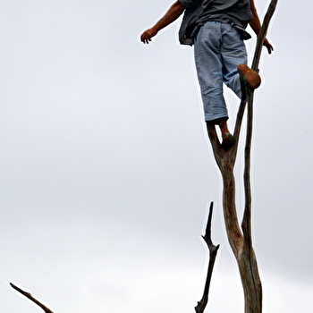 Acrobaties : Nanabozho (Festival Nuits des forêts 2025) - Parc national de forêts - CHAMESSON