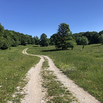 Parcours VTT 15 noir - Le grand tour du plateau de Retord - Espace FFC Ain Forestière