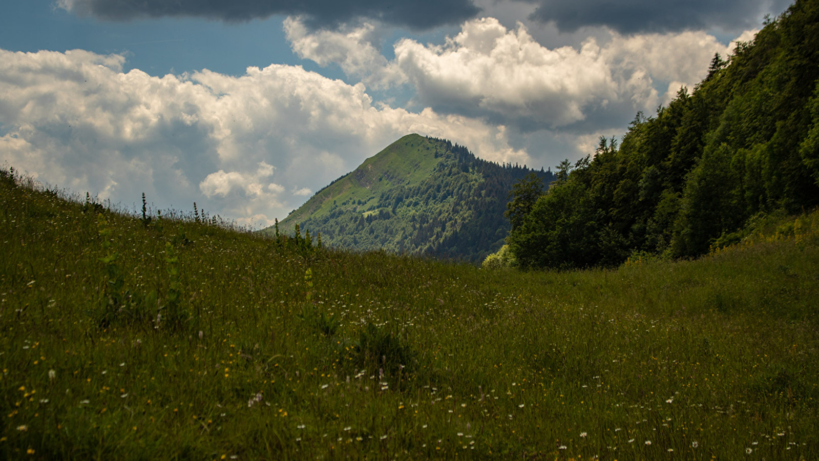 Randonnée pédestre - Crêt de Chalam depuis Forens