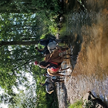 Week End Yoga et équitation - SERMAMAGNY