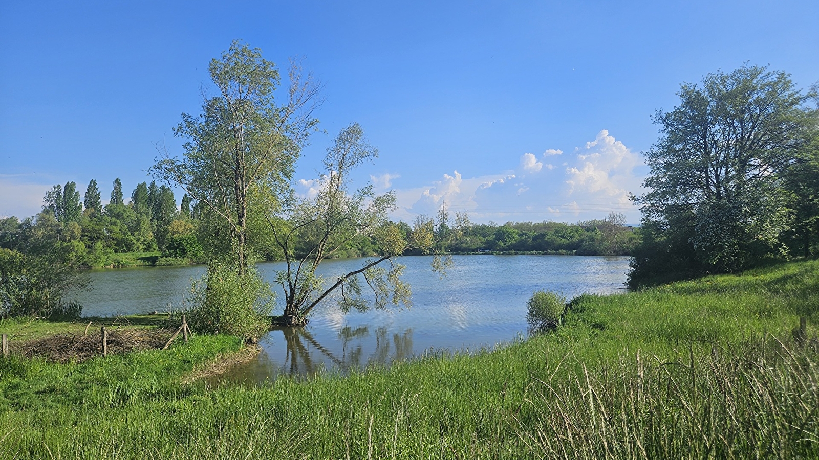 Parc des Alliaires