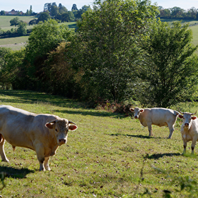 La Marche d'Automne