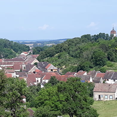 Bucey lès Gy, Cité vigneronne