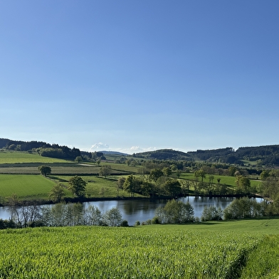 Etang de la Vernée