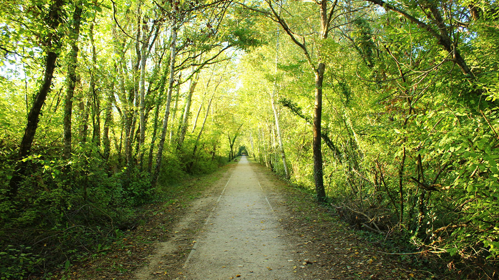 Parcours VTT 83 - rouge - Autour du Mont - Espace FFC Ain Forestière