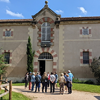 Visite guidée - Cluny, ville du cheval - CLUNY
