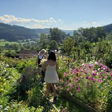 La table du potager