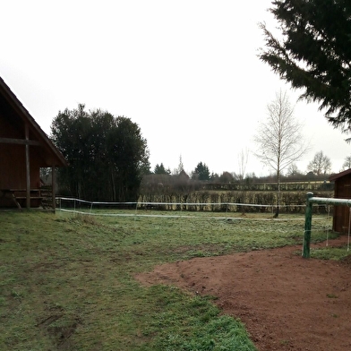 Petit chalet dans la prairie