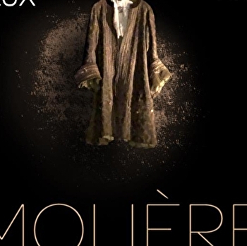 Molière - Par arthelux- Compagnie amaranta-Lux 21 - LUX