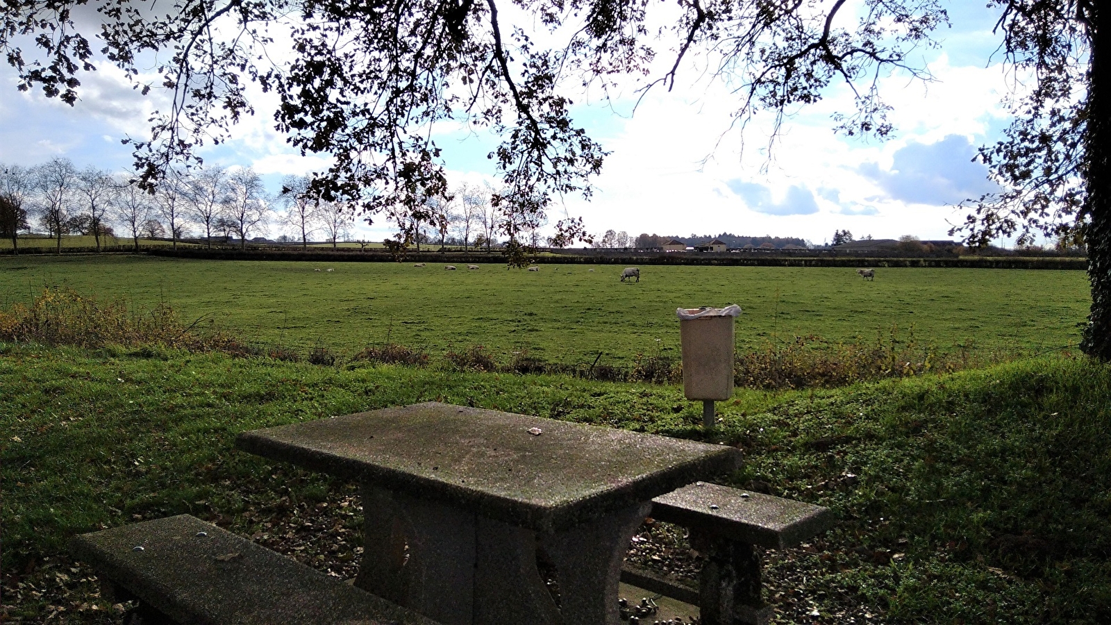 Aire de pique-nique de la Halte Nautique