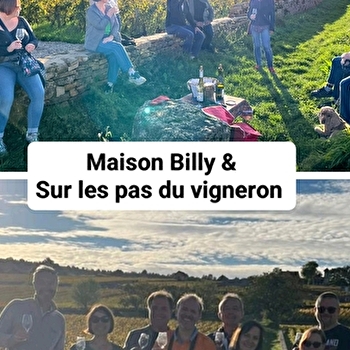 Voyage entre vignes, caves et Climats - MEURSAULT