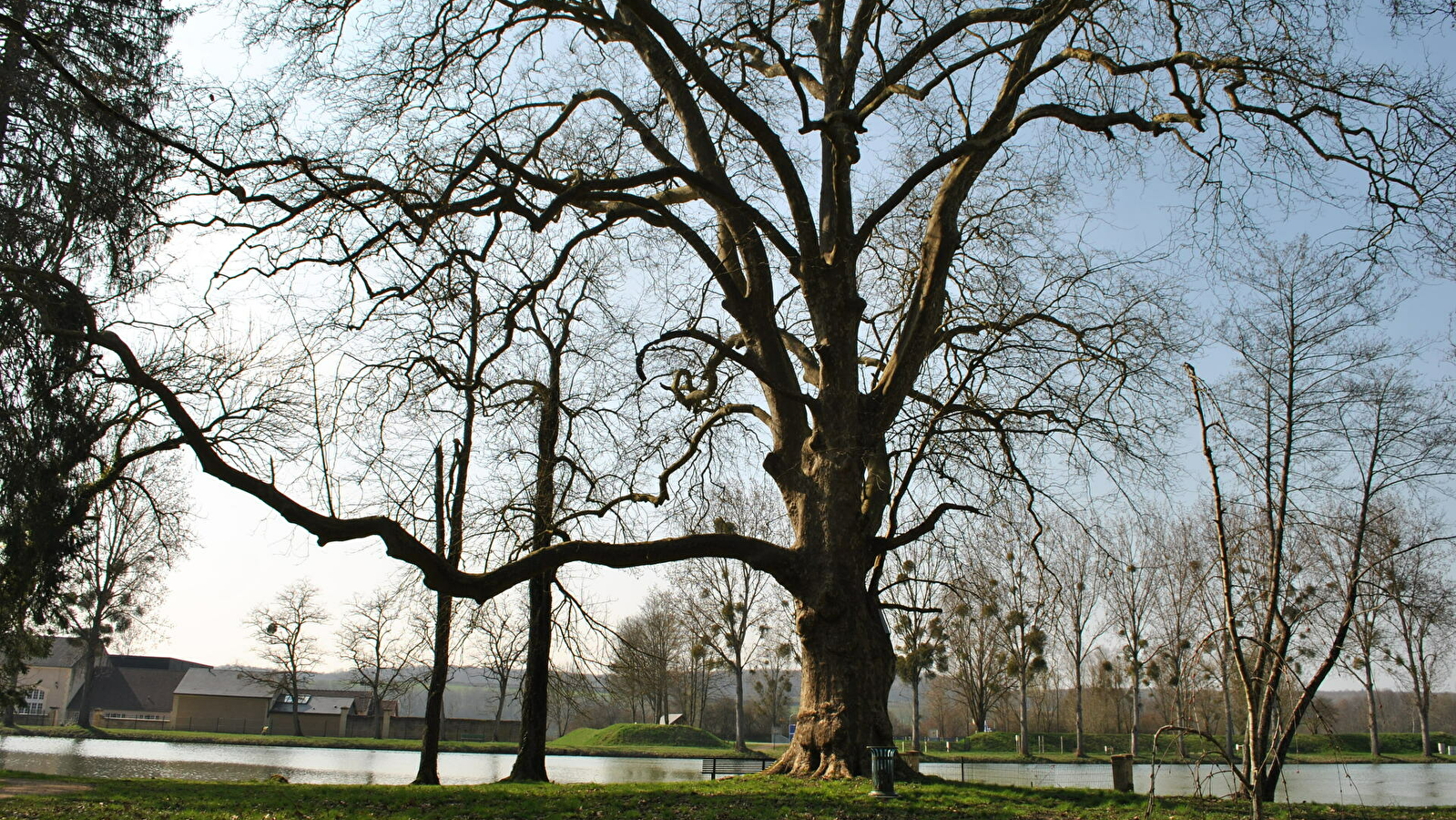 Promenade Jean-Pierre Harris 