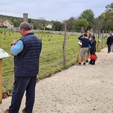 Truffière et parcours pédagogique du Pays Seine-et-Tilles 