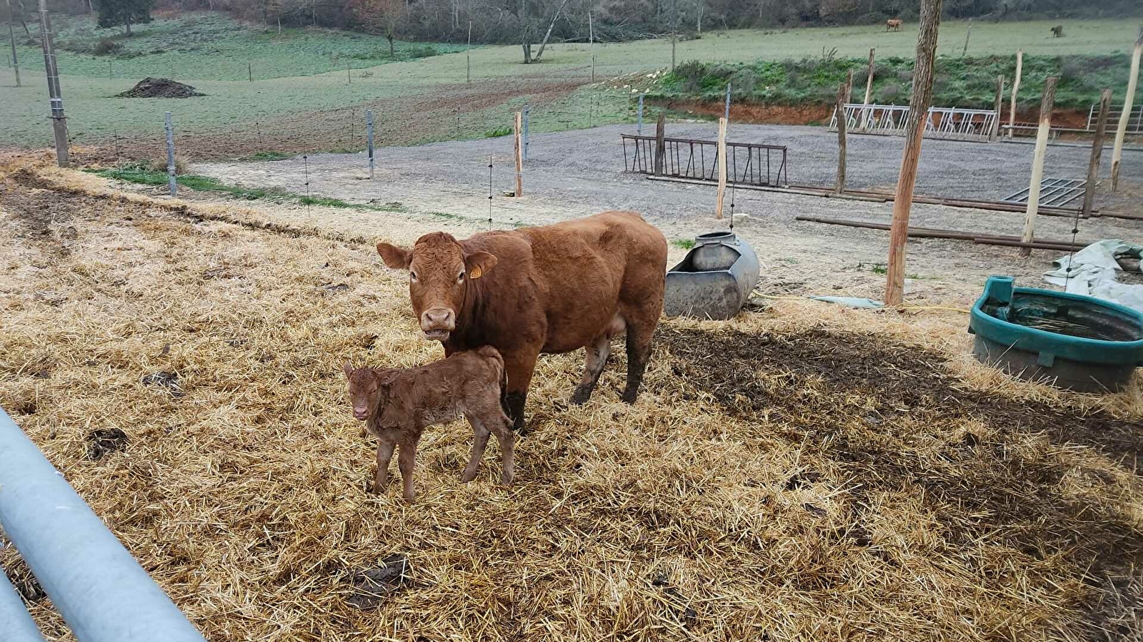 Aire France Passion chez Aline Ferme Bio