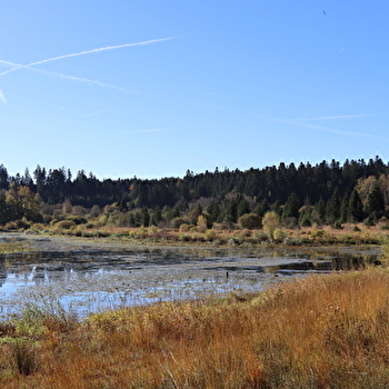 ENS - L'Étang du Brachet - PASSONFONTAINE