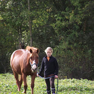 Poney Club le Picotin