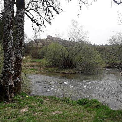 La Cluse et le Château de Joux