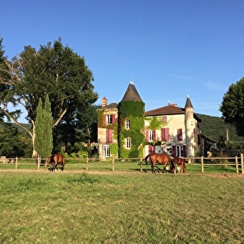 Le Daneline - CLUNY