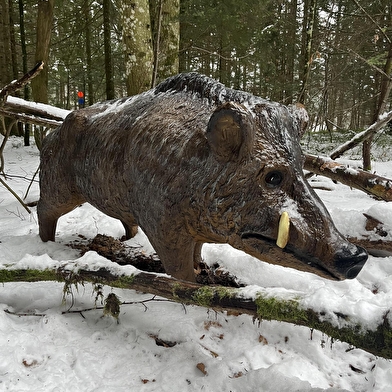Balade - La piste des animaux