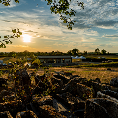 Site des vestiges de la ville gallo-romaine d'Alésia