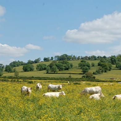 La ferme du Moulin