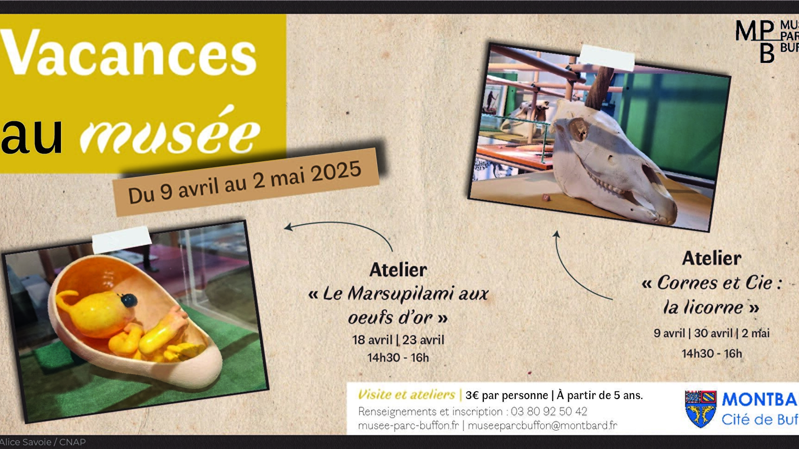 Visite-atelier : Cornes et cie - la licorne