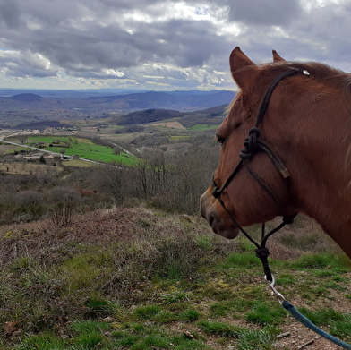 Cluny Horse Valley