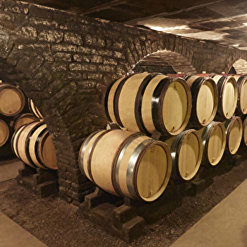 Besancenot - BEAUNE
