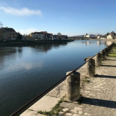 Pêche sur la Saône