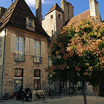 Véronique Barrillot - DIJON