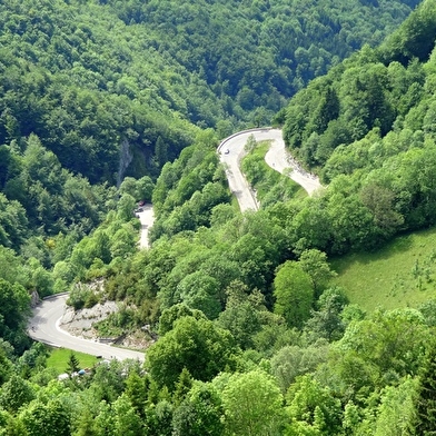 Au coeur du Parc naturel regional du Haut-Jura