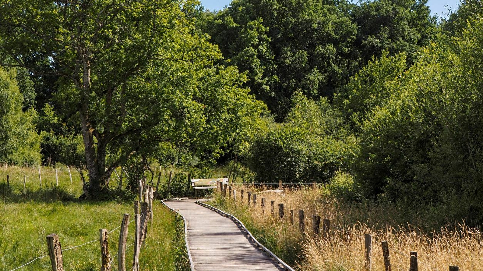 Circuit de randonnée : tour du lac de Saint-Agnan