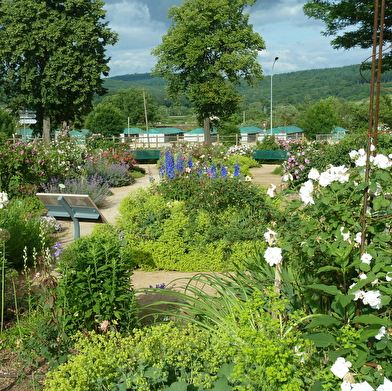 La Roseraie de Cluny
