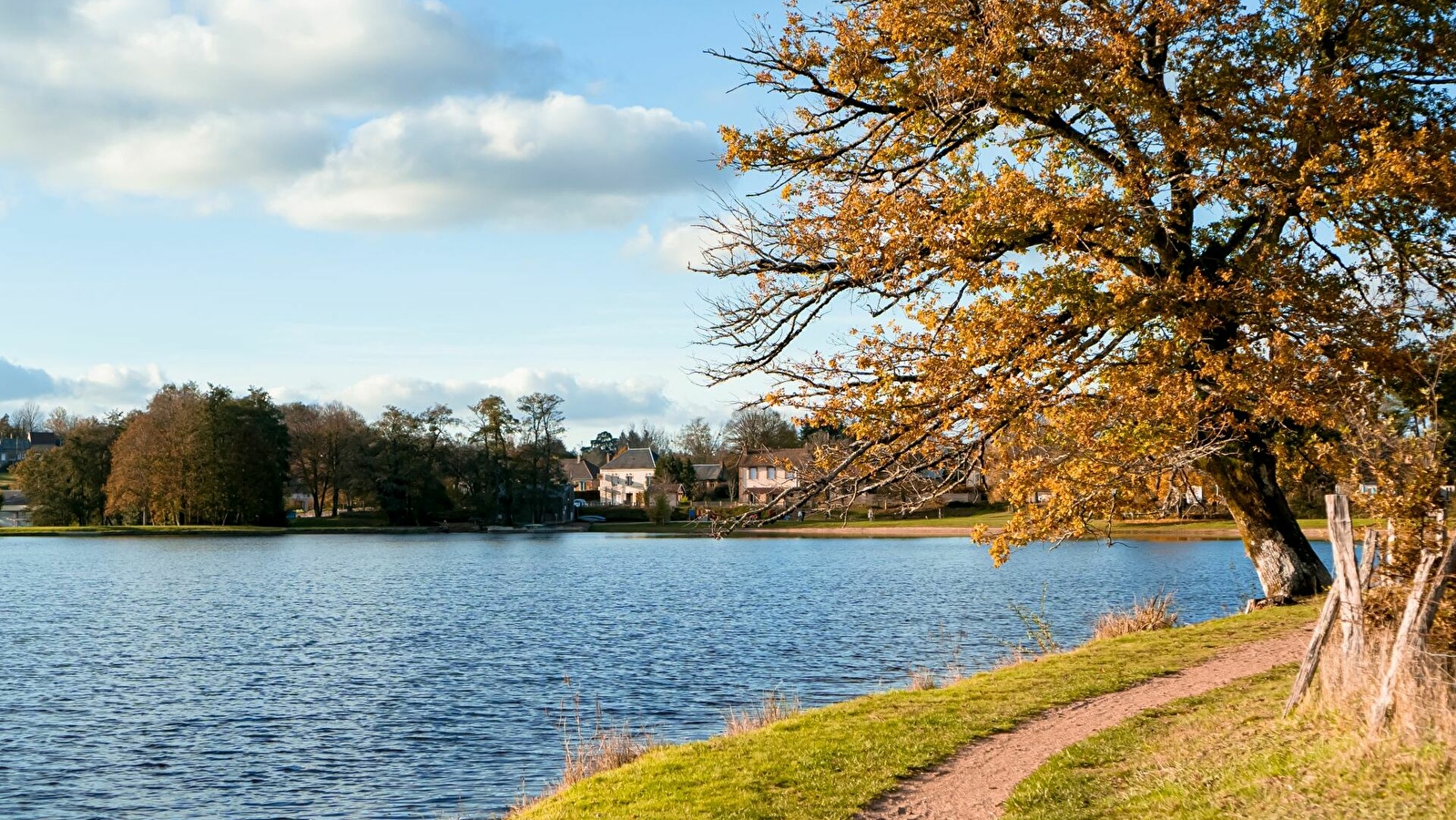 Baignade à l'Etang du Goulot