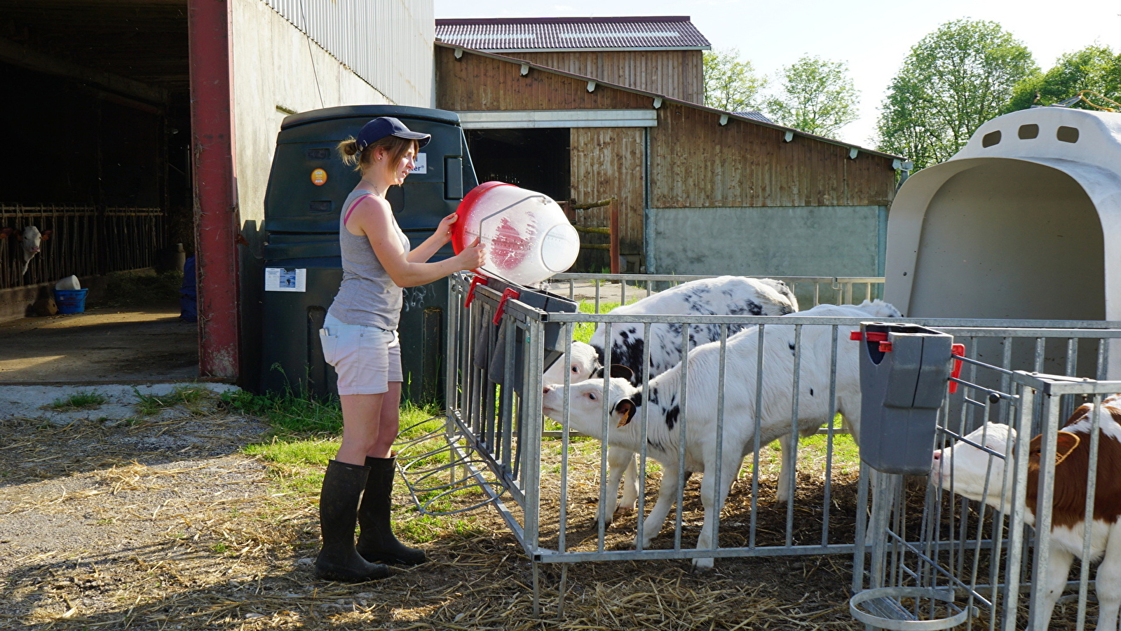 Visite de ferme