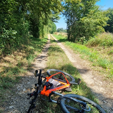 Circuit VTT-VTC n°8 (rouge) - Sur les crêtes de la Vallée du Sevron
