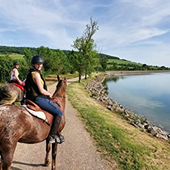 A cheval dans les vignes - NORMIER