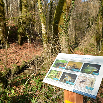 Au fil de la Dorche sauvage - sentier thématique pédestre