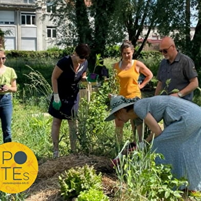 Jardin partagé des Incroyables Comestibles