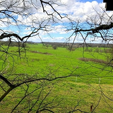 Les Cabanes de Viré - Cabane 'Quintaine'