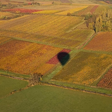 Montgolfière Rully en Bourgogne