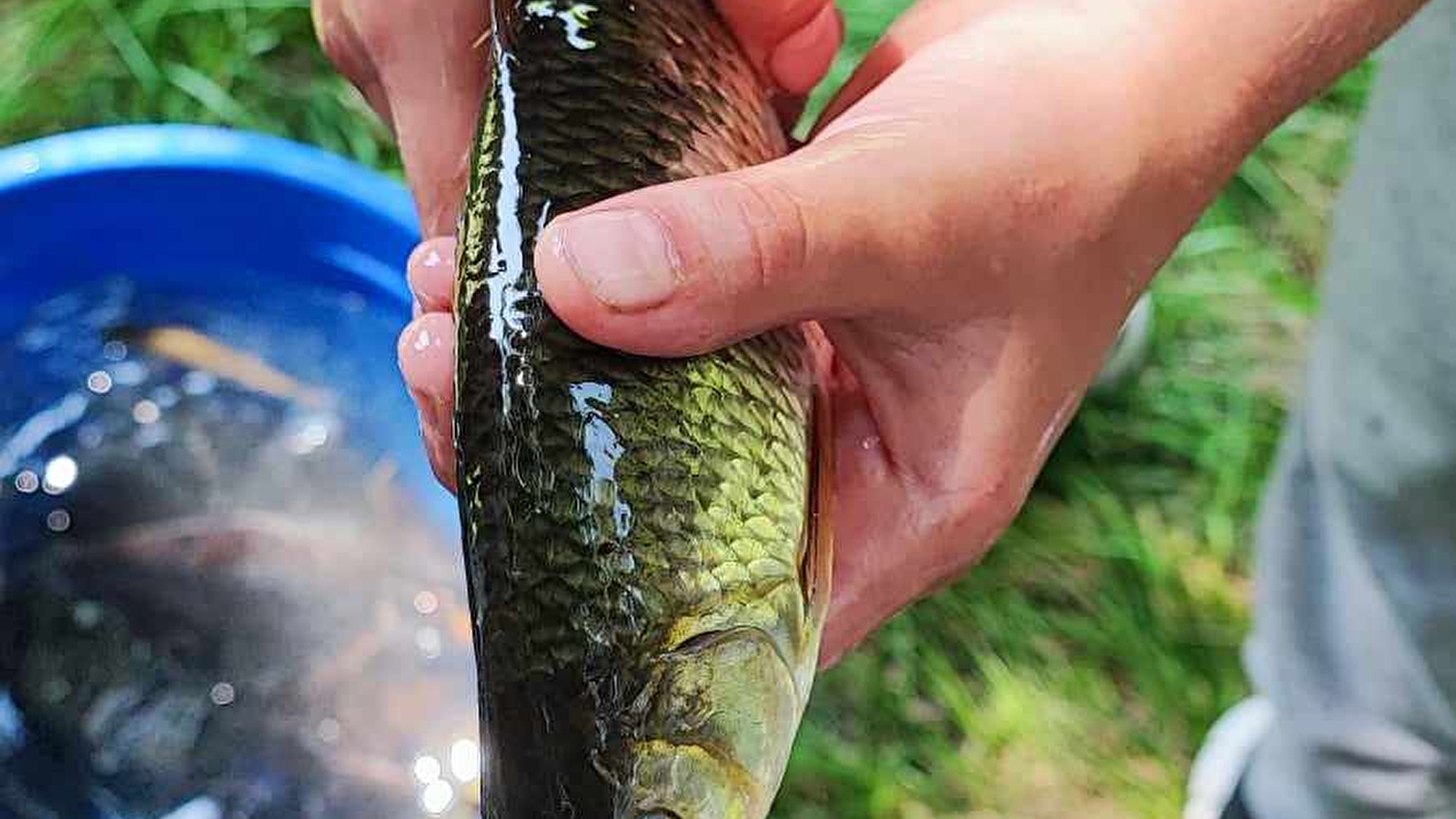 Atelier multi-pêches