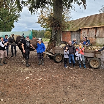 Fête du Maïs - CHAPELLE-VOLAND