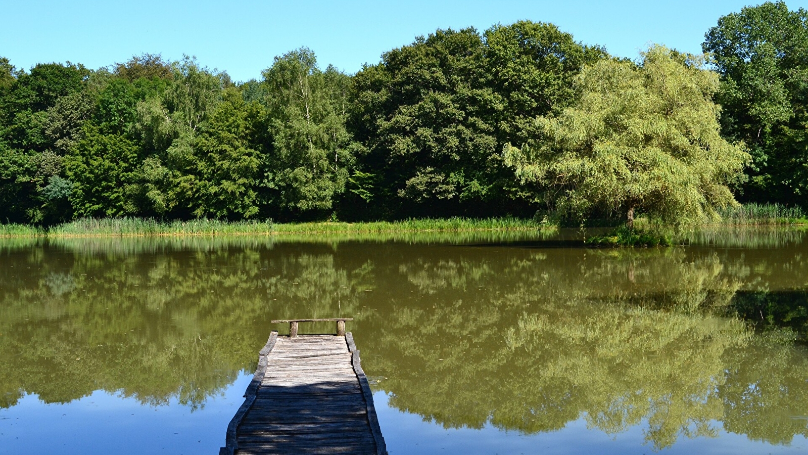 Le Sentier des Étangs de la Bresse Jurassienne