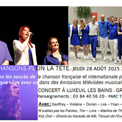 Des chansons plein la tête