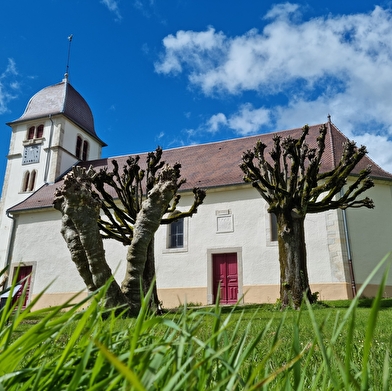 Découverte de Vandoncourt