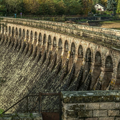 Visite guidée de Saint-Sernin-du-Bois