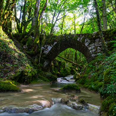 Cascade de la Quinquenouille