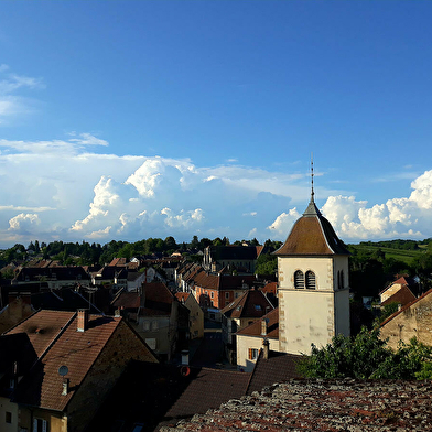 Musée des salières