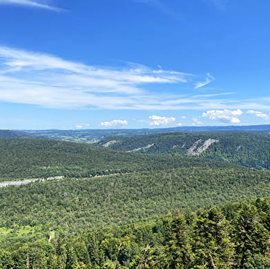 Belvédère du Surmont
